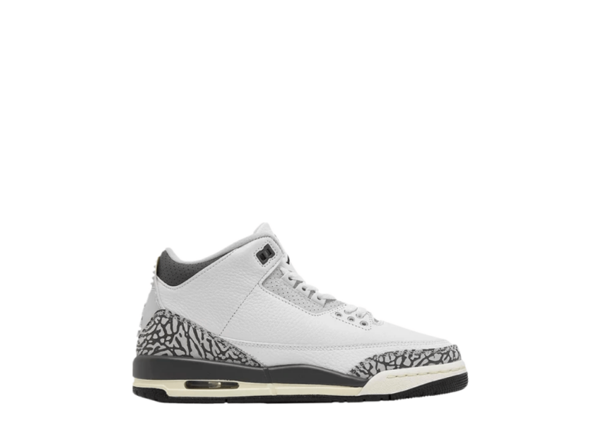 Air Jordan Retro 3 'Hide & Sneak'